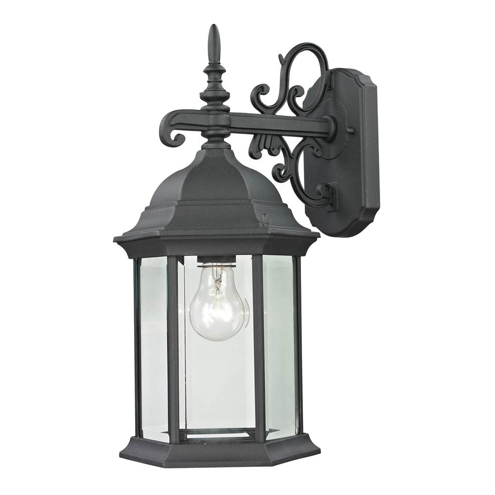 Thomas Lighting Spring Lake 1-Light Coach Lantern in Matte Textured Black - Medium