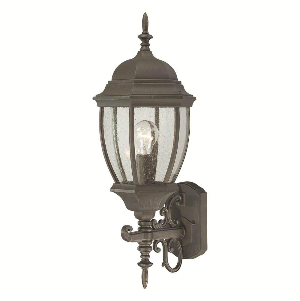 Thomas Lighting Covington 1-Light Outdoor Wall Lantern in Painted Bronze