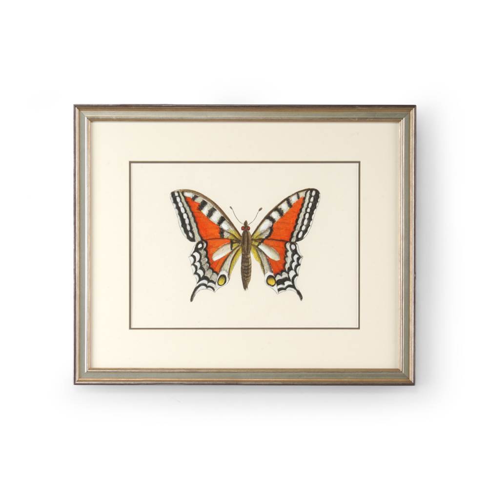 Wildwood Butterfly I