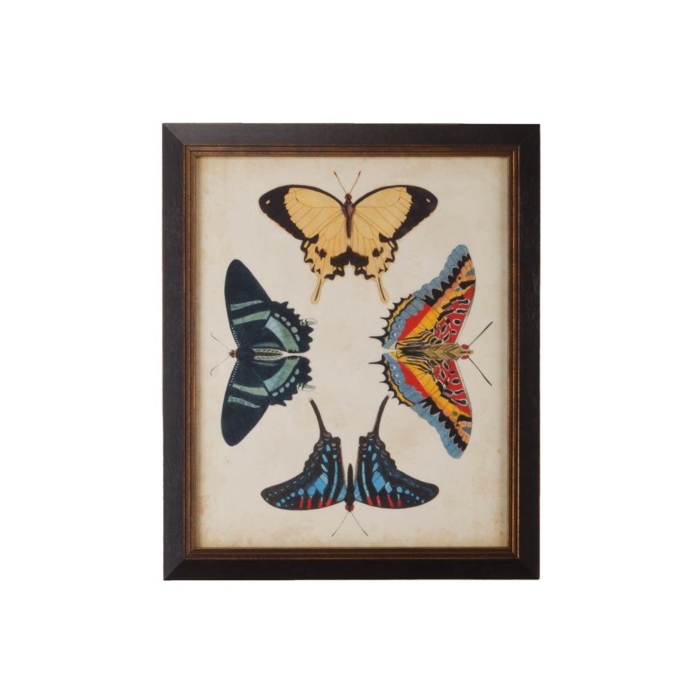 Wildwood Display Of Butterflies III